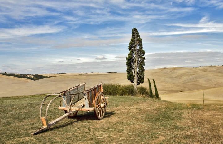 Carretto toscano di vagero