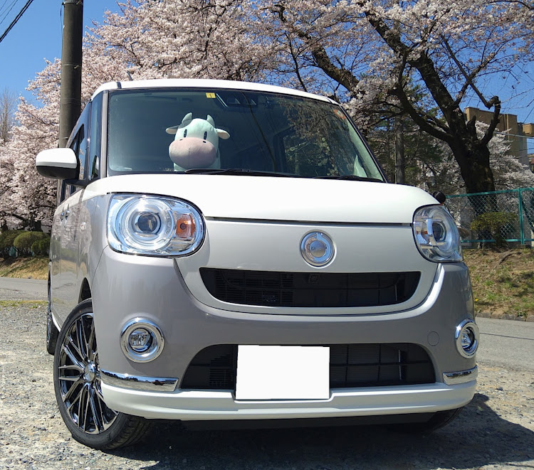 ムーヴキャンバスの羊毛フェルトカー・手芸もやるよん‼️・イラストも書くよん‼に関するカスタム事例の投稿画像2枚目