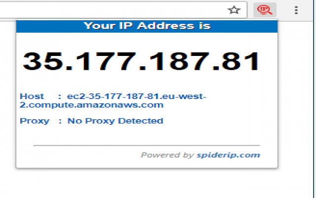 MyIP chrome extension