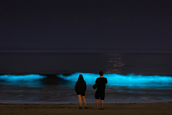 Bioluminescent waves glow off the coast of Hermosa Beach in California on April 25.