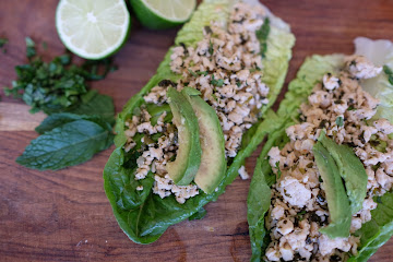 Lettuce Wraps (Paleo, Whole30 + Keto)