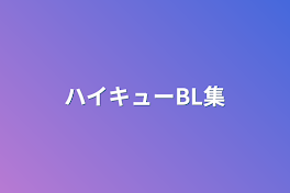 ハイキューBL集