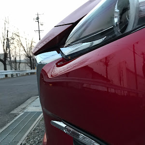 アクセラスポーツ