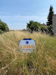 terrain à Saint-Dyé-sur-Loire (41)