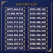 Sim Số Đẹp Tiến Lên Viettel List 1, Giá Cực Rẻ, Hỗ Trợ Đăng Ký Chính Chủ