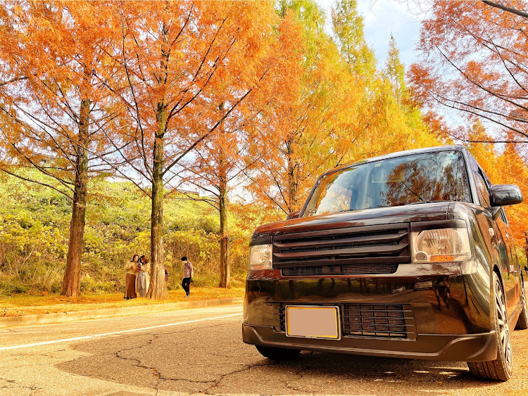ムーヴコンテの石川県・ムーヴコンテ・メタセコイア並木・ダイハツ・いい休日に関するカスタム事例の投稿画像1枚目