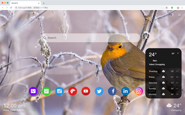 Birds Popular Animals HD New Tabs Theme