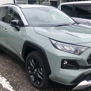 RAV4 MXAA54