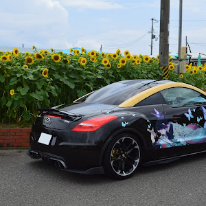 RCZ T7R5F03