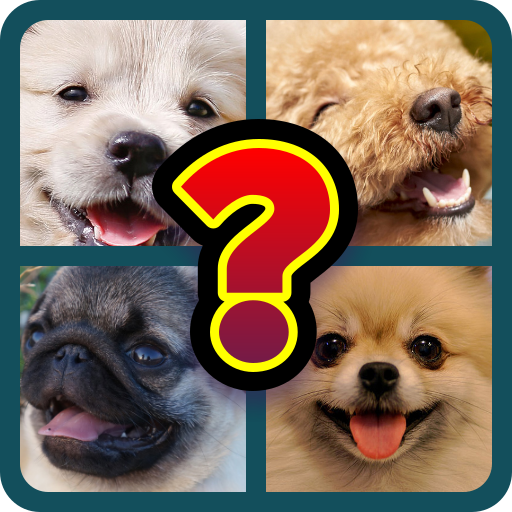 Dog Breed Identifier Game Dog Quiz Aplicații Pe Google Play