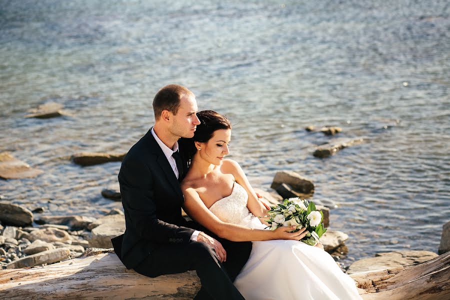 Fotógrafo de casamento Alena Kasho (positivefoto). Foto de 24 de junho 2015