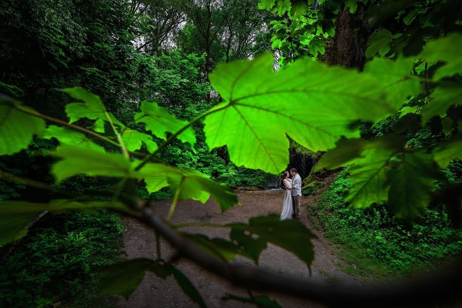 Photographe de mariage Dmytro Sobokar (sobokar). Photo du 6 septembre 2018