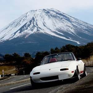 ロードスター NA8C