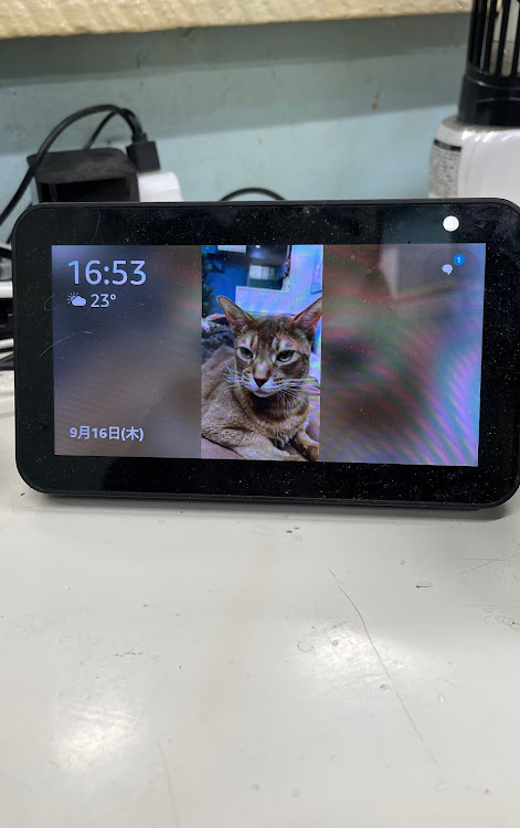 Z4 ロードスターのアレクサエコー・コロナ対策しっかりに関するカスタム事例の投稿画像2枚目