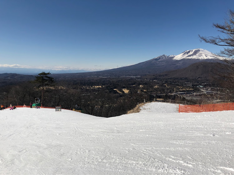 の投稿画像2枚目