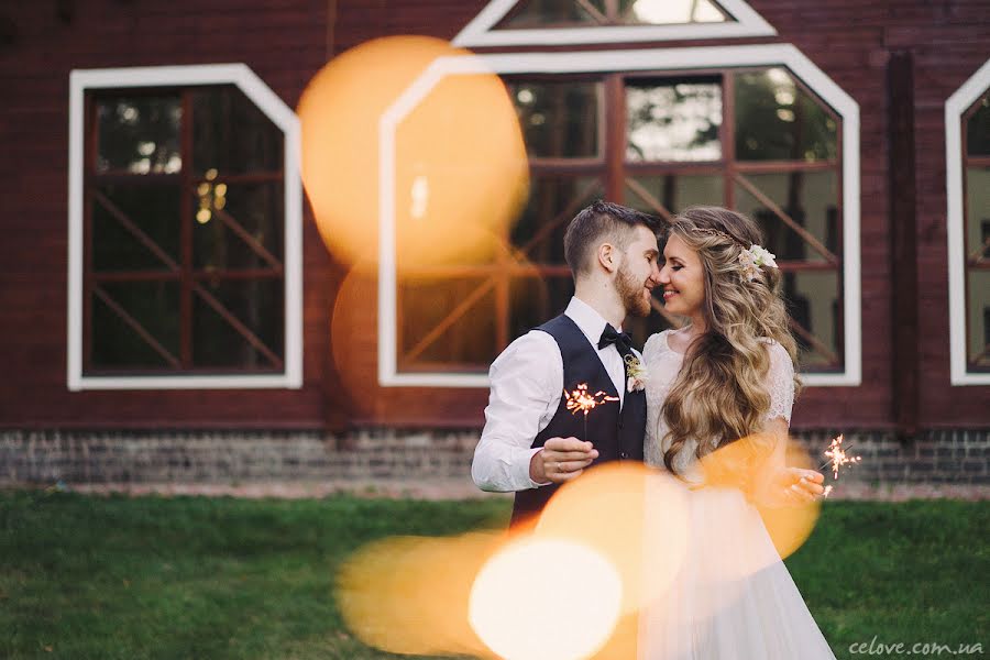 Fotógrafo de bodas Anna Gorbenko (annagorbenko). Foto del 25 de enero 2017