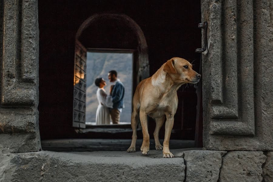 Düğün fotoğrafçısı Denis Demyanchuk (demianchuk). 16 Ağustos 2019 fotoları