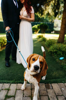 Photographe de mariage Anzhelika Pshenina (apshenina). Photo du 15 septembre 2021