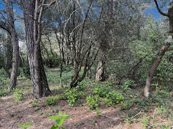 terrain à Uzès (30)