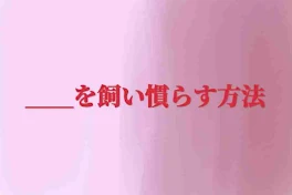 ＿＿を飼い慣らす方法 (リクエスト)