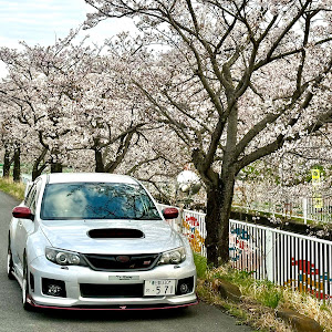 インプレッサ WRX STI GVB