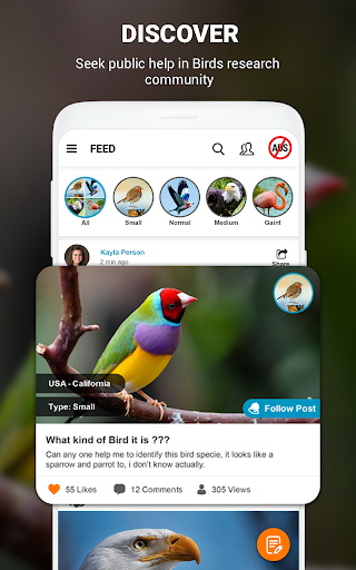 Birds Identifier App by Photo, Bird ID Camera 2020