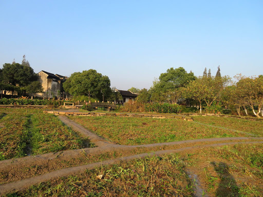 A Day in Wuzhen China 2016