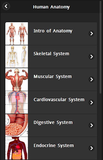 Human Anatomy