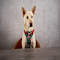 Item logo image for Mixdog-yakult