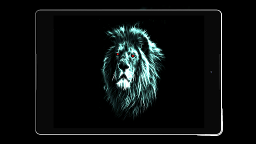 Lion Wallpaper HD