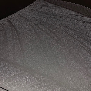 フーガ Y51型