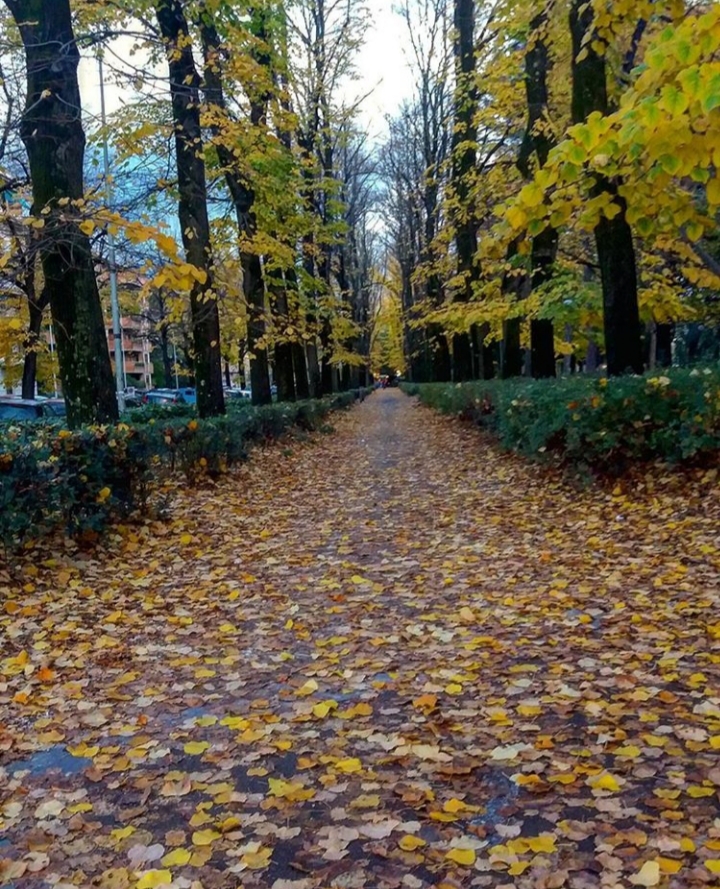 La strada verso l'inverno di _ale_calabrese_