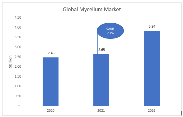 Mycelium Market