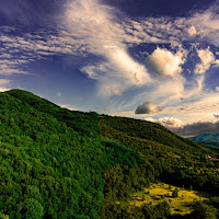 Nel verde dipinto di verde di 