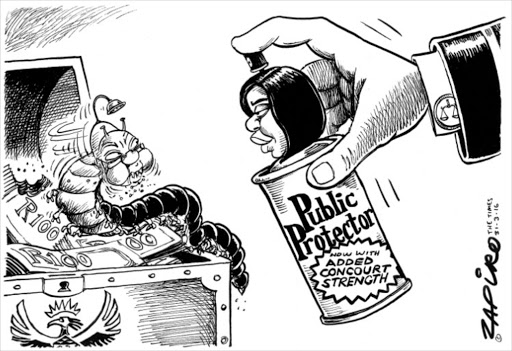 The Nkandla saga as told by Zapiro in cartoons