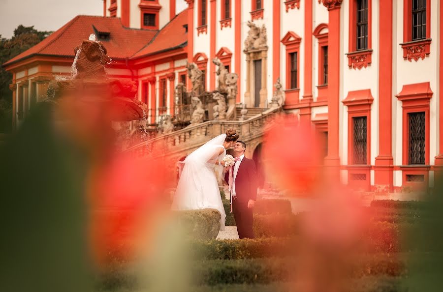 Fotógrafo de casamento Elena Vazhenina (weddingprague). Foto de 22 de janeiro 2019