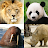 Animals Quiz Learn All Mammals icon