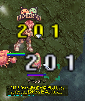 Roラグナロクオンライン 初心者 レベル上げ 31 60 ラグナロクオンライン 初心者向け 最新攻略