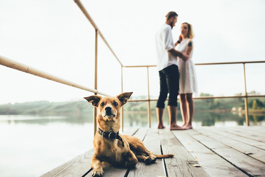 Fotografo di matrimoni Sergey Privalov (majestic). Foto del 16 gennaio 2018