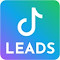 Item logo image for TikTok Leads