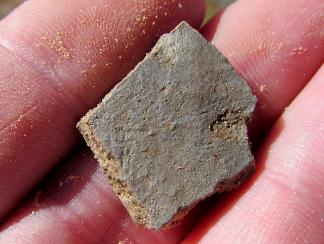 A single, tiny potsherd at Twin Corral Flats