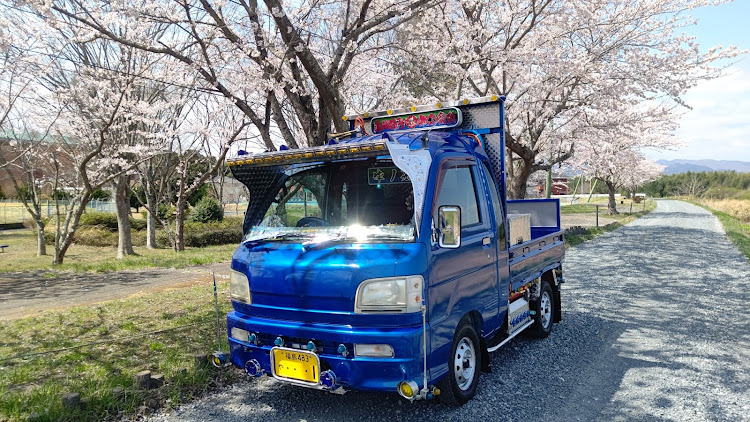 ハイゼットトラックの桜と愛車・デコトラ・ウロコステンレス・DIY