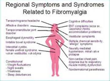 Info on supplements and herbs for Fybromyalgia