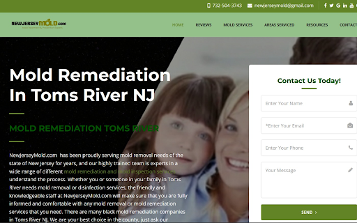 Toms River Mold Remediation