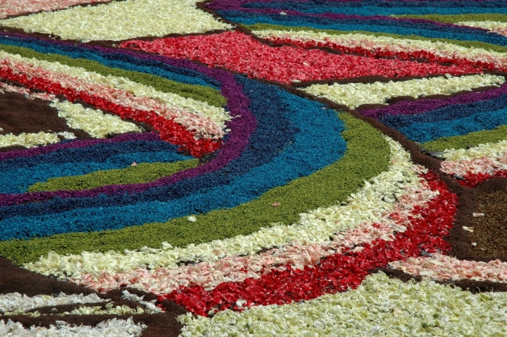 Infiorata di manu70