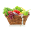 Ernährung Diät mobile app icon