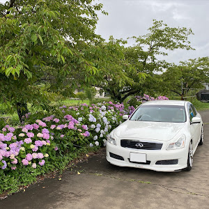 スカイライン V36