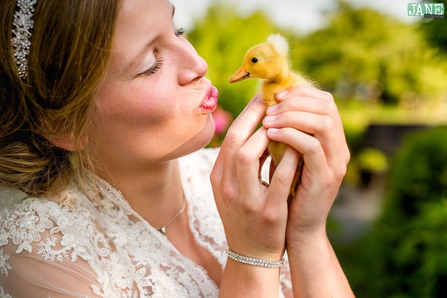 Huwelijksfotograaf Janneke Kooiman-Brand (kooiman-brand). Foto van 6 maart 2019