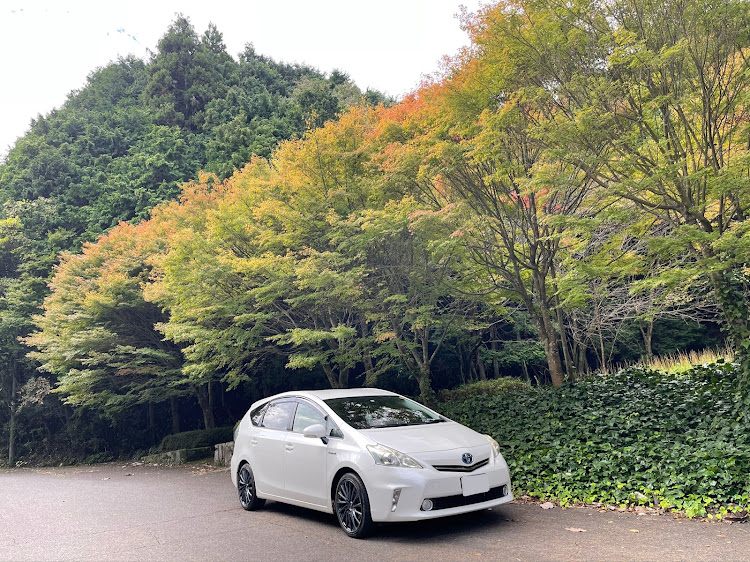 プリウスαの#香川県・小さい秋見つけた・洗車・ドライブに関するカスタム事例の投稿画像4枚目
