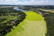 A ‘mat ’ of water lettuce covering the Vaal River and expanding quickly, is impairing the water's quality by blocking the air-water interface and sharply lowering oxygen levels. 